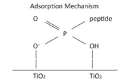 Adsorption mechanism